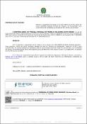 Imagem de Miniatura